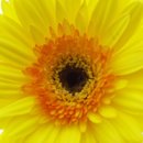 햇빛주는 약국 이미지