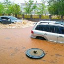 제주:) 오늘 이미지