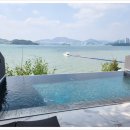 슈가브리움 이미지