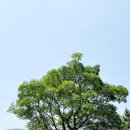 윤돌커피