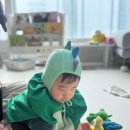 행복한 꼬마 거북이 이미지