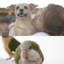 단식농장 이미지