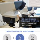 연헤어라인 네이버블로그