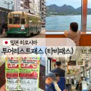 삼도지정마을버스승강장 | 투어리스트 패스 (타비패스) 종류, 입장권 할인, 트램 히로덴과 일본 버스 탑승 방법, 미야지마 페리 이용