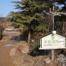 솔푸른향기애견 이미지