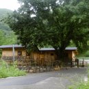 우리황토집민박 이미지