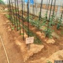 현민농장 이미지