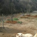 귀재농장 이미지