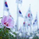 민병소(3) 이미지