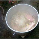 박종헌 농장 Daum카페