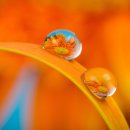 모아내과의원 이미지