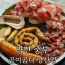 양산신-1019 | 양산 곱창 맛집 '곱이곱다 양산점' 당일 도축 한우곱창 대창 모듬 솔직 후기