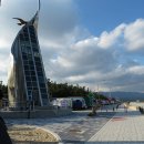 영덕고래불국민야영장 이미지