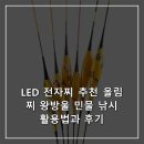 LED 전자찌 추천 올림찌 왕방울 민물 낚시 활용법과 후기