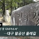 [하루만보]"안오신 듯 다녀가소서"…대구 팔공산 올레길 이미지