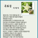 원군사 Daum카페