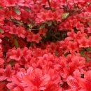 도구머리공원1-1 이미지