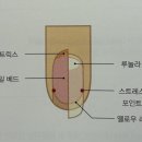 EDGE네일 이미지