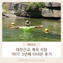 대전 근교 계곡 식당 '여기' 3년째 다녀온 후기
