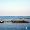 송정유료낚시터 이미지