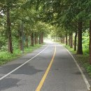 경춘선 자전거도로6 이미지