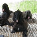 패밀리농장 이미지