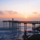 한강사 | [미국회계사] 20대/ 대학생/ 9개월/ FAR, AUD 부분 AICPA 합격수기