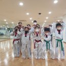 용인대 다한 태권도장 이미지
