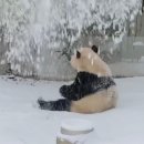 애들세상