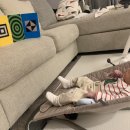 소은목장 이미지