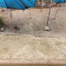 하늘꿈어린이집 놀이터 | [40,864번째 전국 모래소독]대전 하늘꿈 어린이집 놀이터 소독