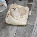 안녕;상이친구들!