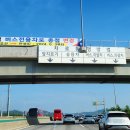 버스전용차로(3) 이미지