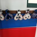 강호 특공무술 이미지