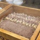 남지경로당 | 야탑역 룸 식당 머무를 정 세이로무시 야탑점｜친구들과 보낸 따뜻한 연말모임 장소 후기