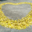 모아편의점 앞 이미지