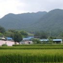 입실2리 이미지