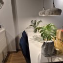 스카이콘도 이미지