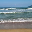 고래불 해수욕장 이미지