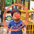 정관장 고등학생의 체력. 면역력 키워주는 아이패스H 구입후기