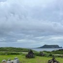 중앙농약종묘사 이미지