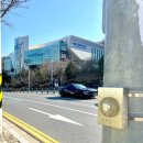 대전 용운국제수영장 자유수영 원정 후기
