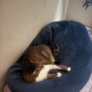 씨유자갈치점 | 不许再说我小气了昂