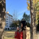 에츠하임 이미지