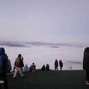 사과나무 이사