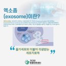 가디언 동물의료센터 네이버블로그