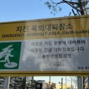 동탄센트럴파크 축구장 이미지