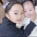 발이야기