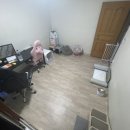 대원지물