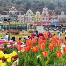 안성맞춤랜드18 | 2026 에버랜드 튤립축제 봄꽃여행 할인 기본정보